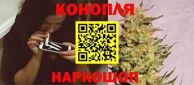 молекула духа Нальчик