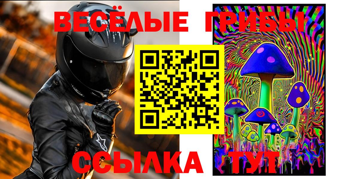 Рузаевка  Псилоцибиновые грибы Psilocybe  Вход с VPN 